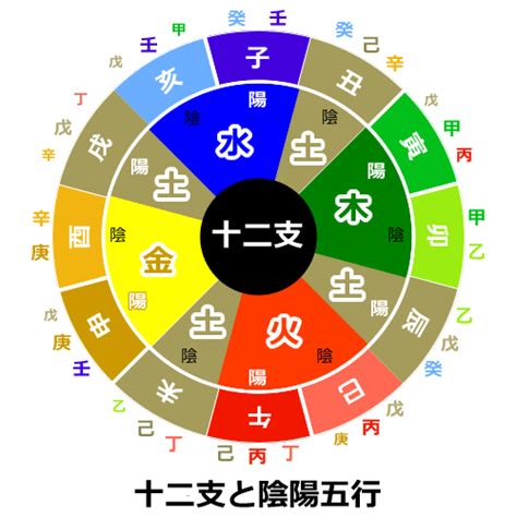 陰陽五行 生年月日|生年月日から、あなたの陰陽五行を調べてみませんか？